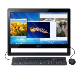Моноблок Sony Vaio J11M1R/B Black